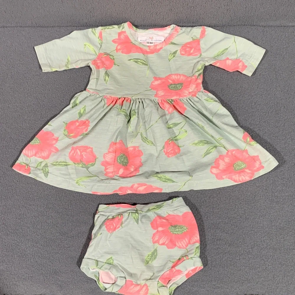 Baileys Blossoms Baby Girl Floral Dress‎ and Bloomers Set Sage Pink 6-9M